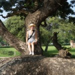 Maria auf einem thailändischen Baum