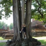 Maria besteigt einen Baum im Historischen Park Sukhothai