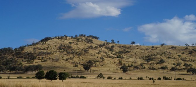 Über Canberra nach Melbourne