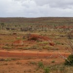 Landschaft im Outback