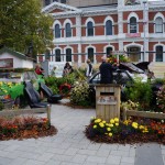 Zur Zeit ist eine Blumenausstellung in Christchurch