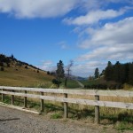 Nördliche Ausfahrt der Farm