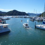 Hafen in Picton