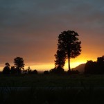 Sonnenuntergang am Lake Matheson