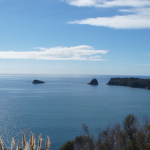 Panorama über Mercury Bay