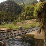 Lange Hängebrücke in der Karangahake Gorge