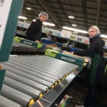 Arbeit im Kiwi-Packhaus