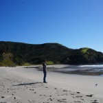 Einsame Bucht im Northland 2