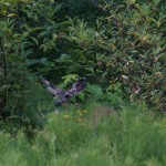 Wir hatten Besuch :-)