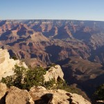 Didi verschluckt vom Grand Canyon